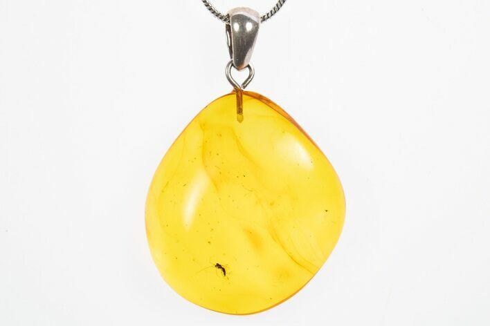 Polished Baltic Amber Pendant (Necklace) - Contains Fly! #307916